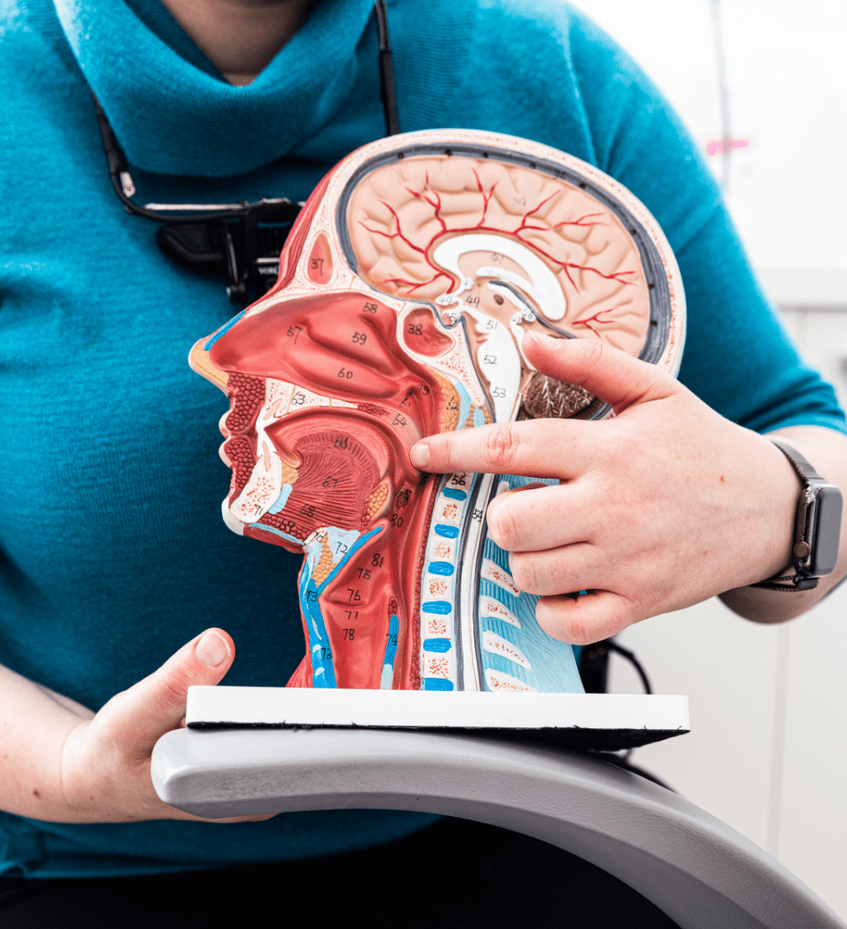 ENT Head & Neck Surgeon Near Me Sydney Dr Julia Crawford