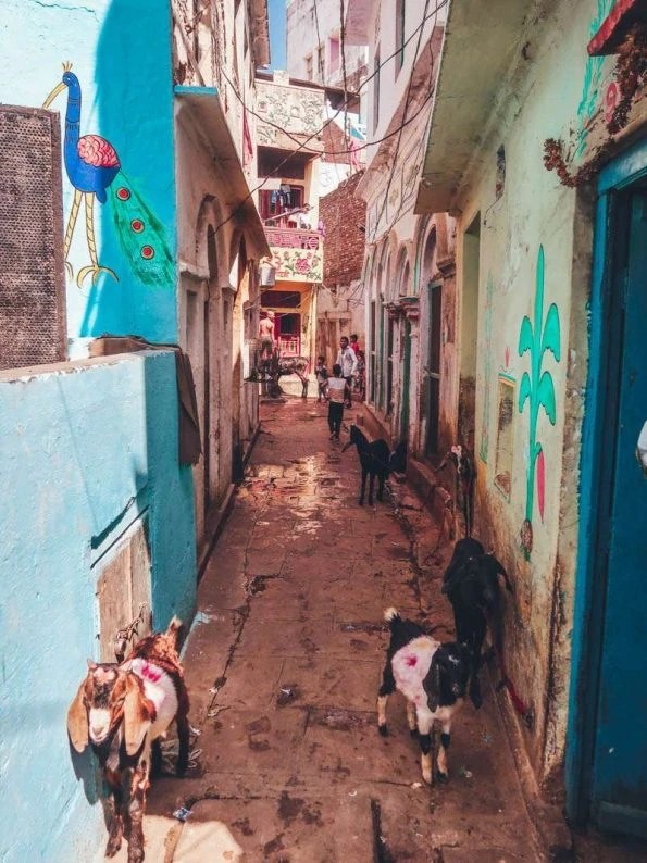 2 Days in Varanasi, the holy city of India