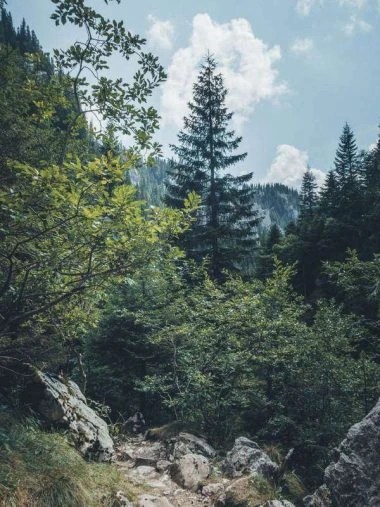 Easy hiking near Bucharest: Scropoasa Lake Romania bucegi mountains hike