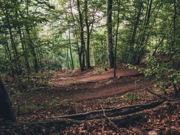 Muntele Tampa Top 11 things to do in Brasov, Romania