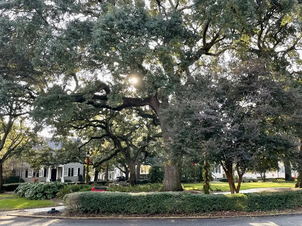 20 Best Vacation Spots in the Southeast for your Next Getaway