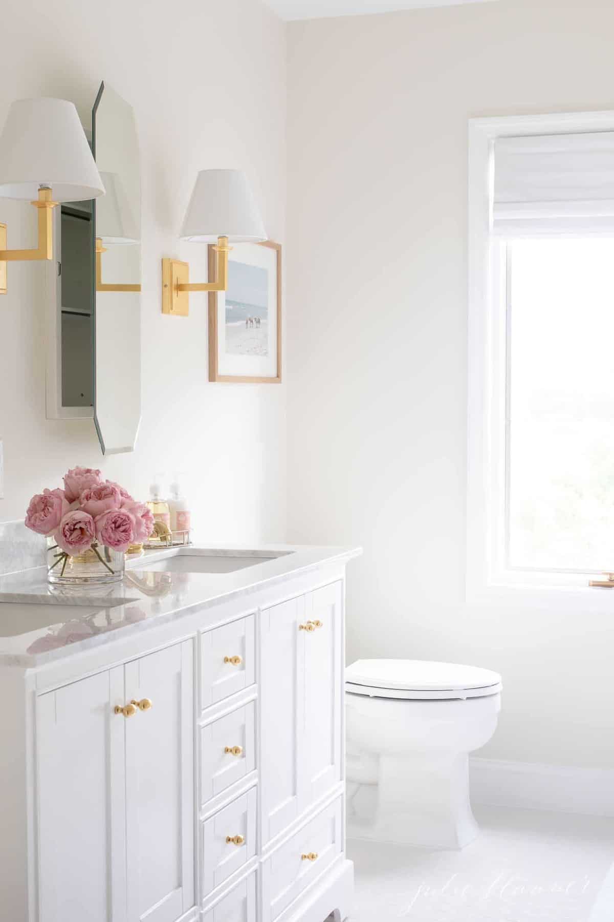 Benjamin Moore White Dove Paint Color