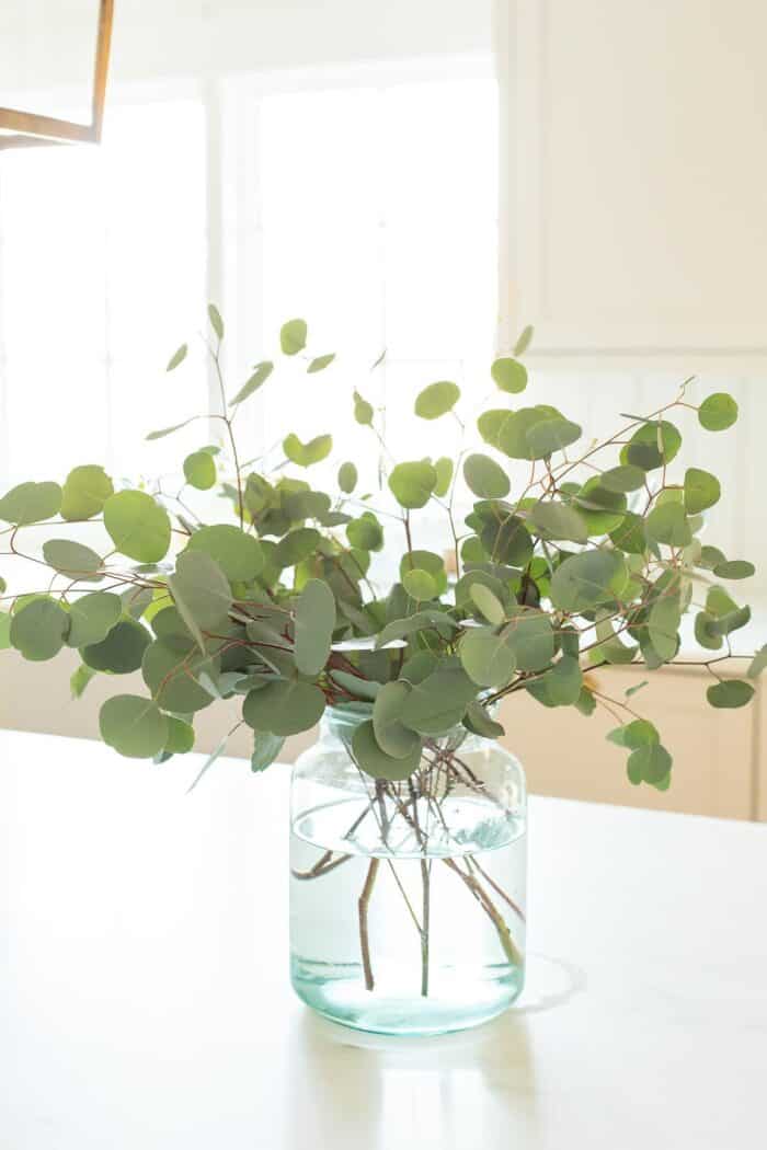 Fresh Silver Dollar Eucalyptus and Seeded Eucalyptus Julie Blanner