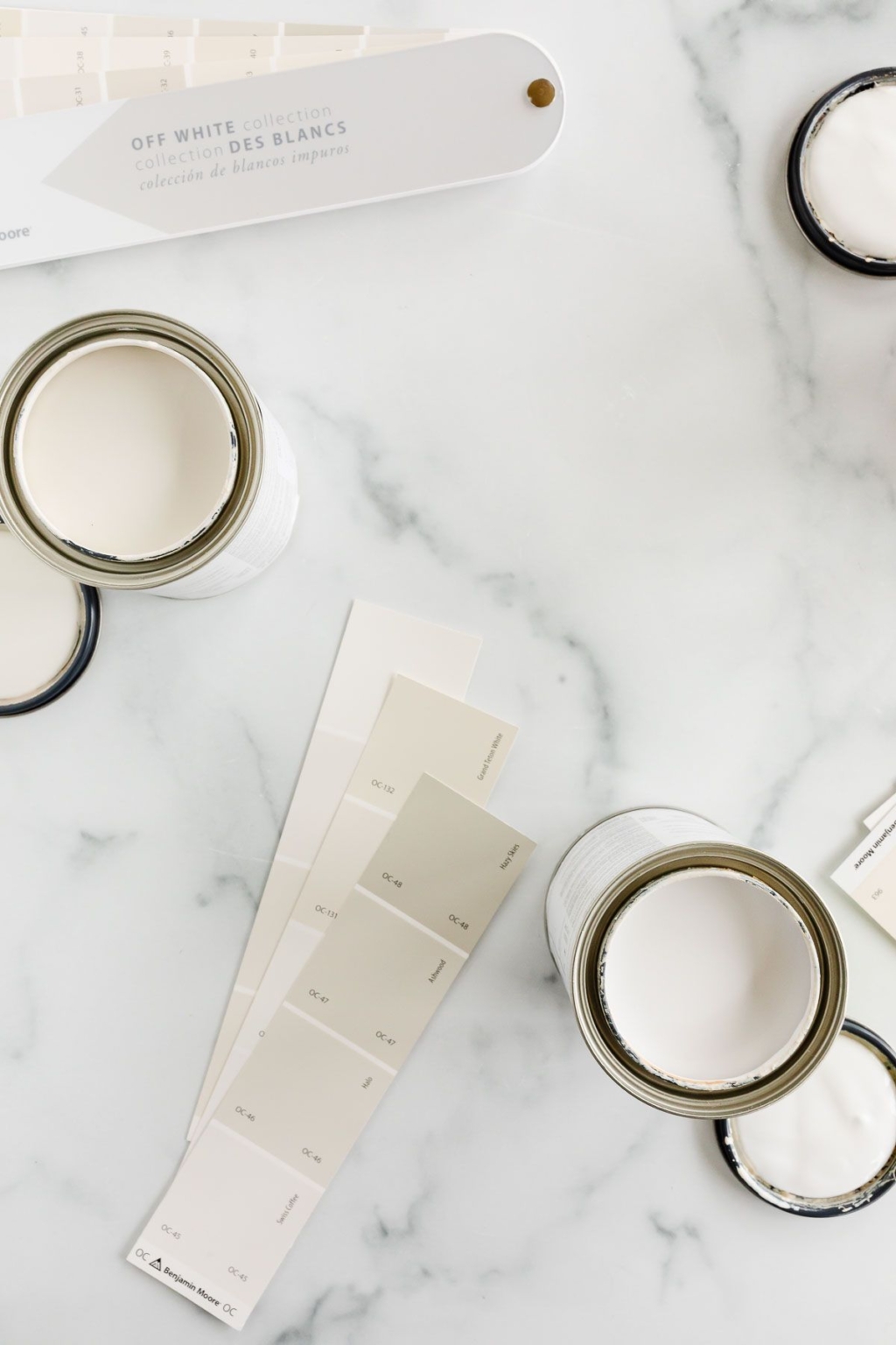 Everything You Need to Know About Paint Samples | Julie Blanner