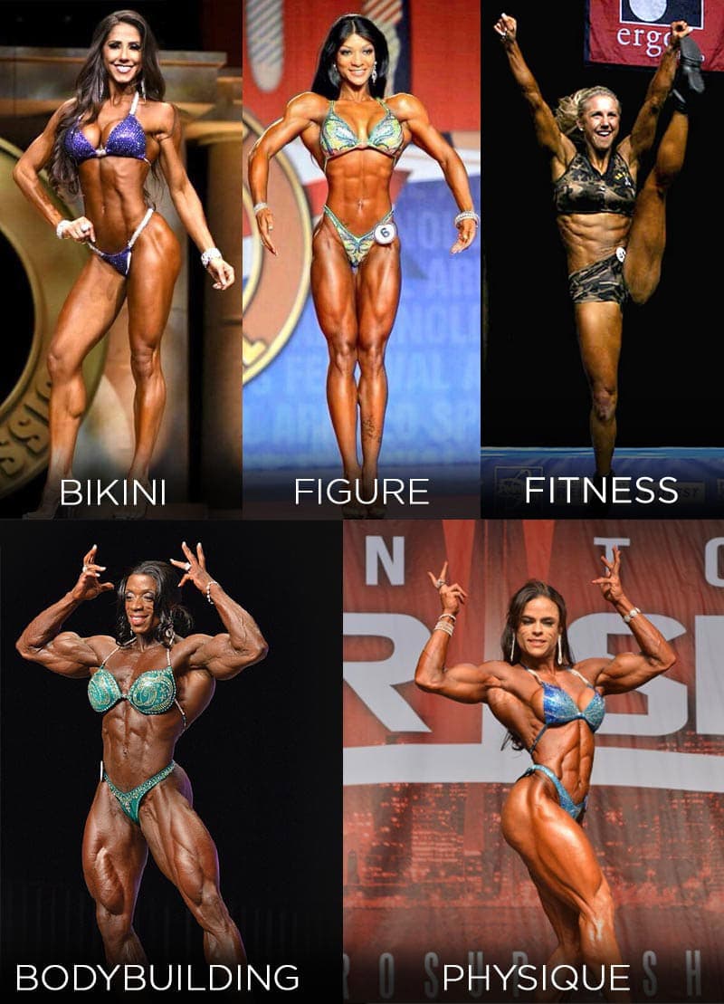 Difference Between Physique Divisions Which is right for you?