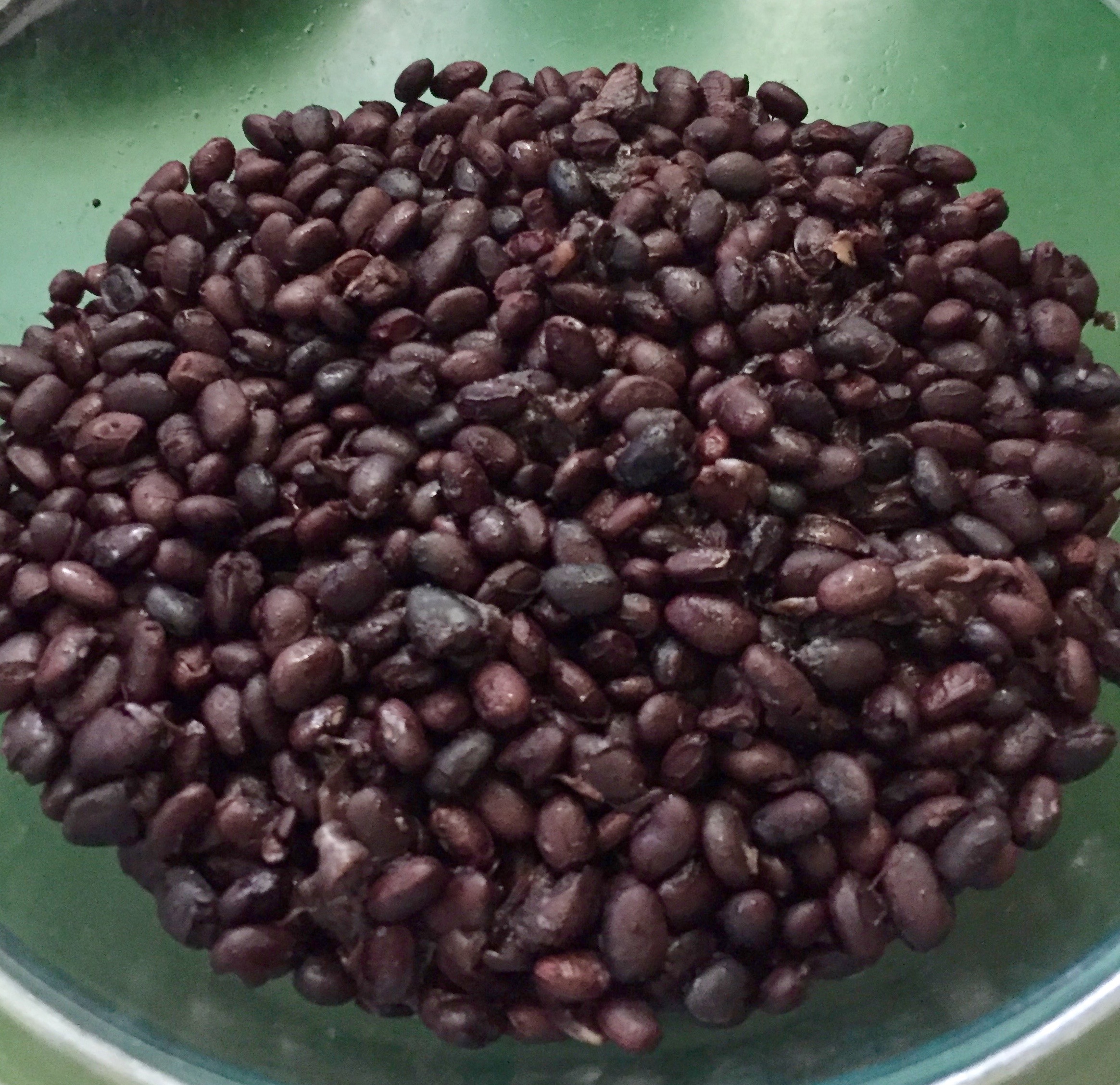 Cooking Dried Black Beans julienne.red