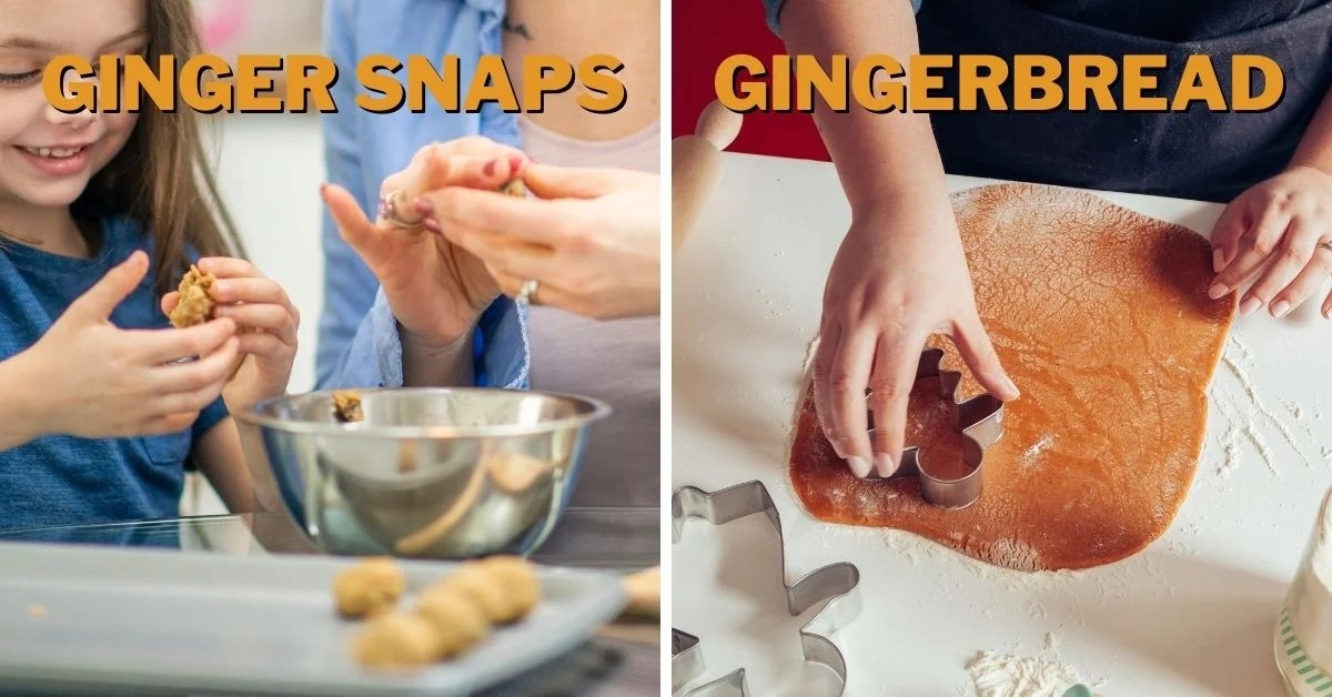 Gingersnaps vs. Gingerbread Differences (& Which Might You Like More)