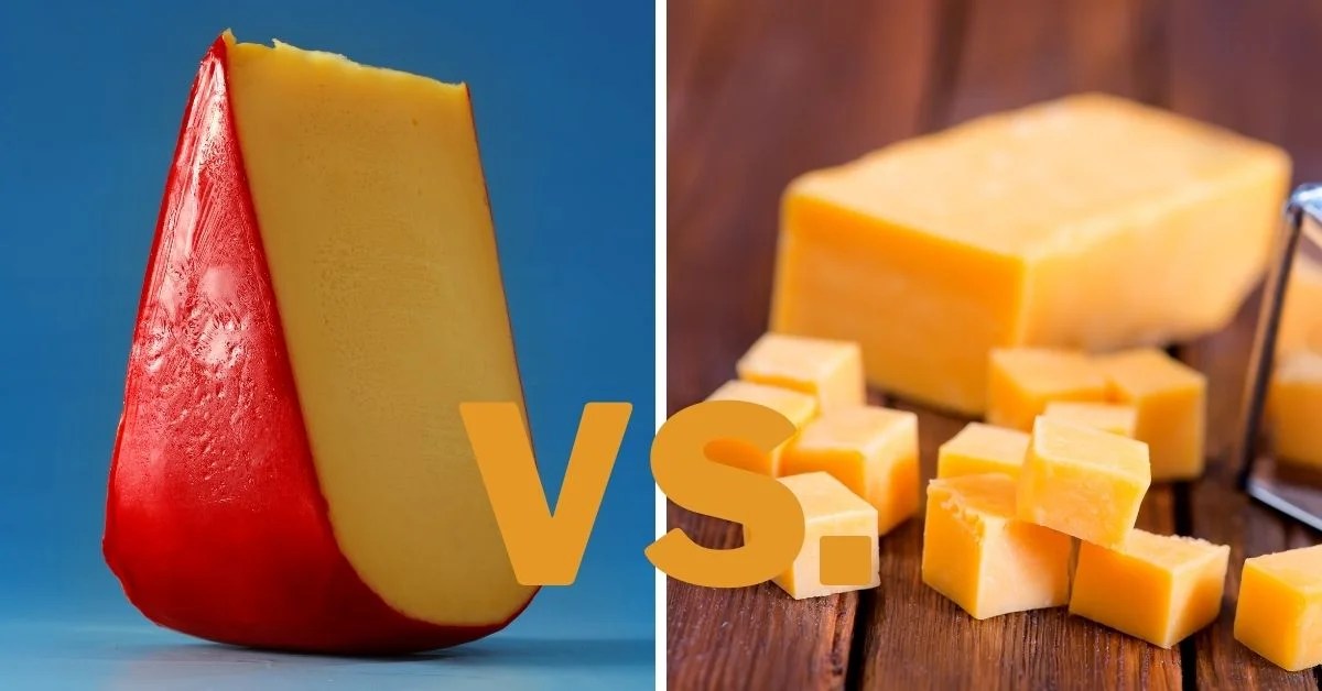 Gouda vs. Cheddar Differences & Uses
