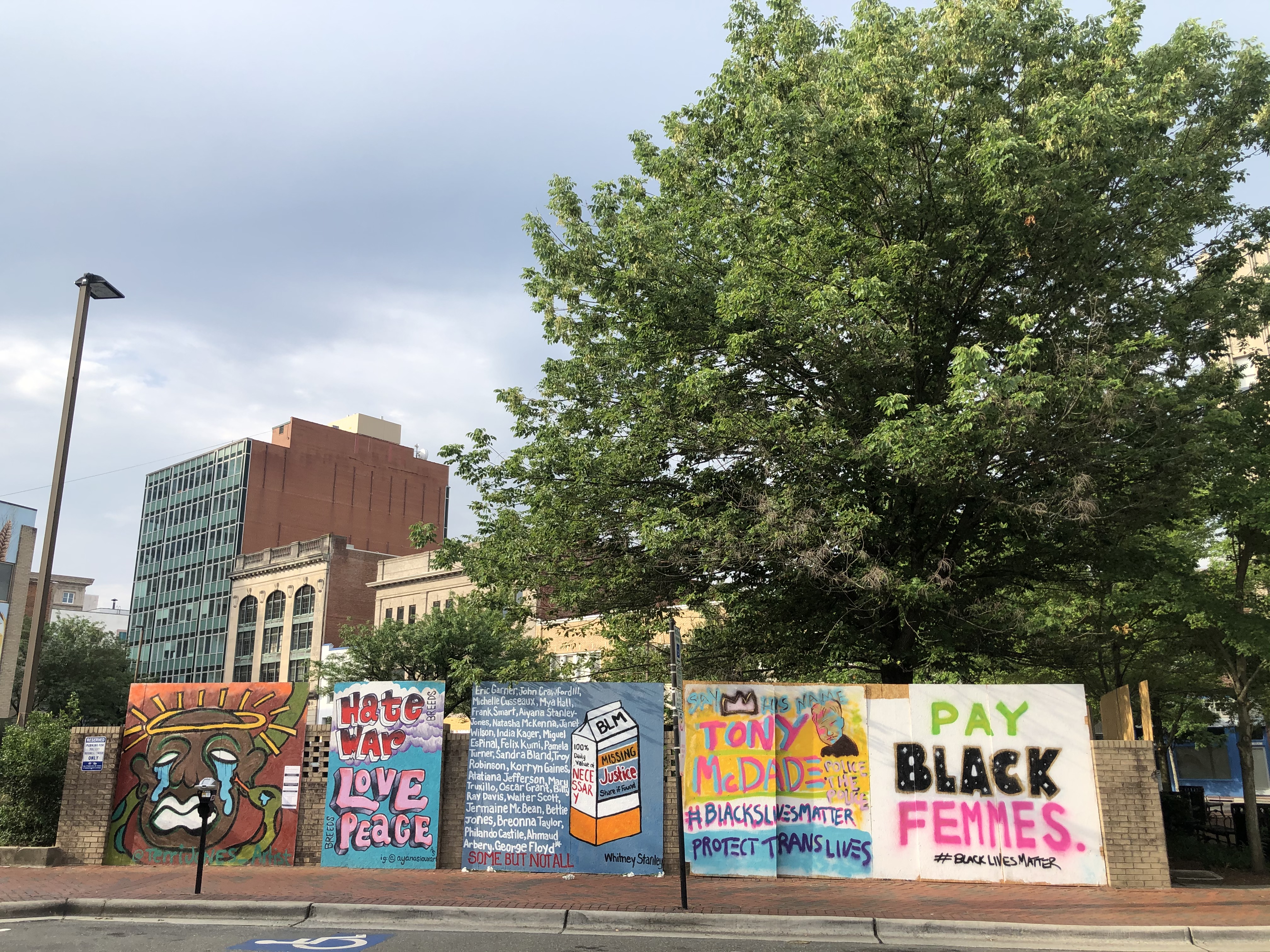 Durham NC Street Art Decorative Downtown Julie Tetel Andresen Julie Tetel Andresen