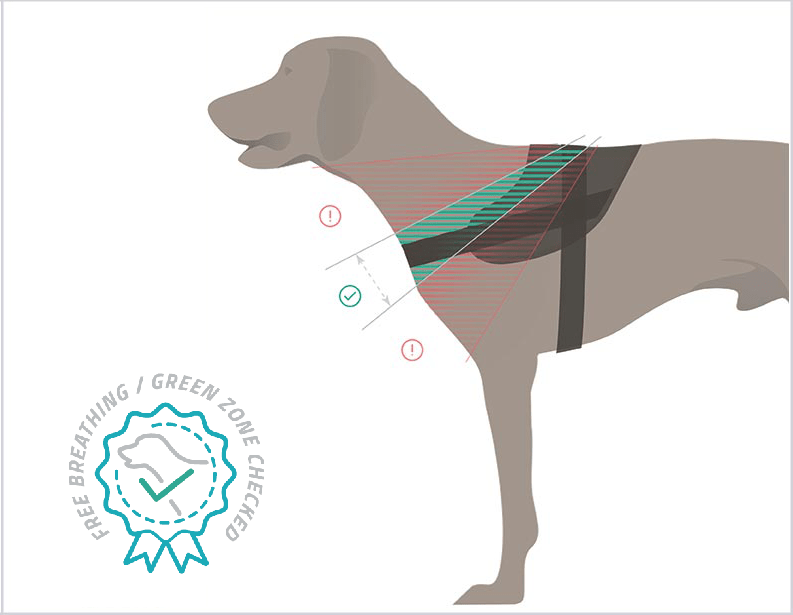 Julius K9 Size Guide Julius K9 Harness Size Chart, Sizing Fitting Guide