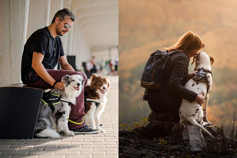 How Long Should A Puppy Wear A Harness