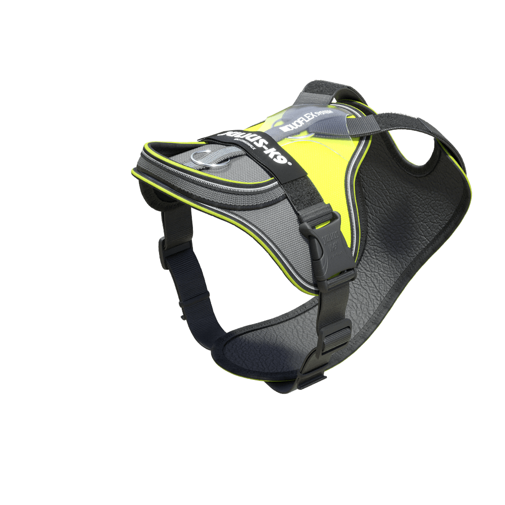 IDC Longwalk dog harness JuliusK9® dog harness