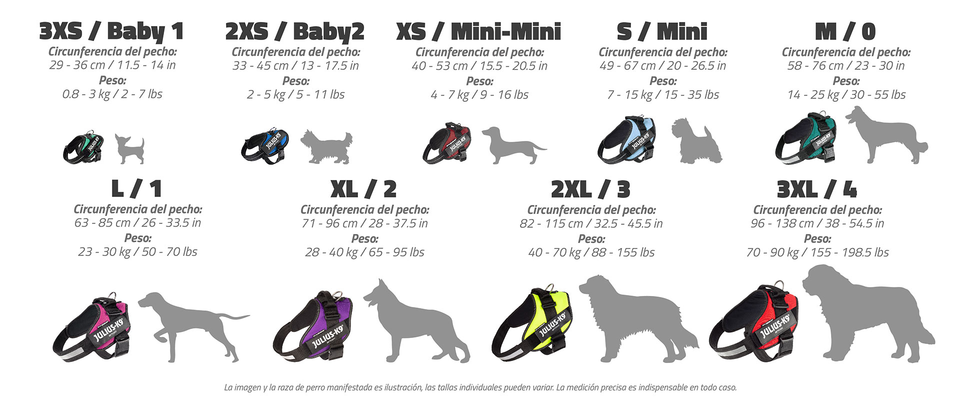 Cuadro de medidas JuliusK9® dog harness