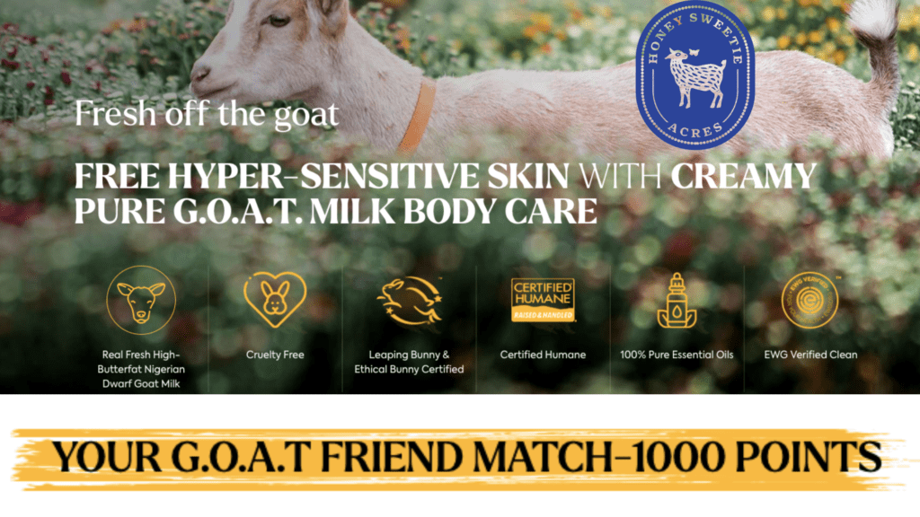 Beauty brand loyalty rewards for growth in 2023 and beyond