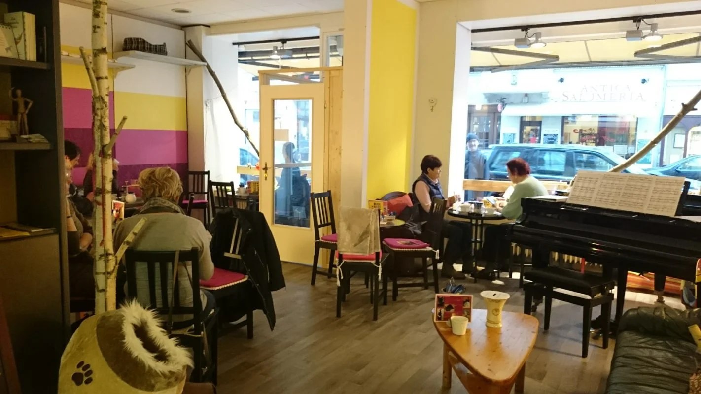 Café Zur Mieze KatzenCafé in Berlin Charlottenburg JUMP Berlin