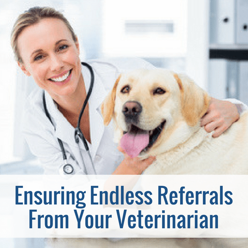 Ensuring Endless Referrals from Your Veterinarian — Pet Sitting Business Coaching