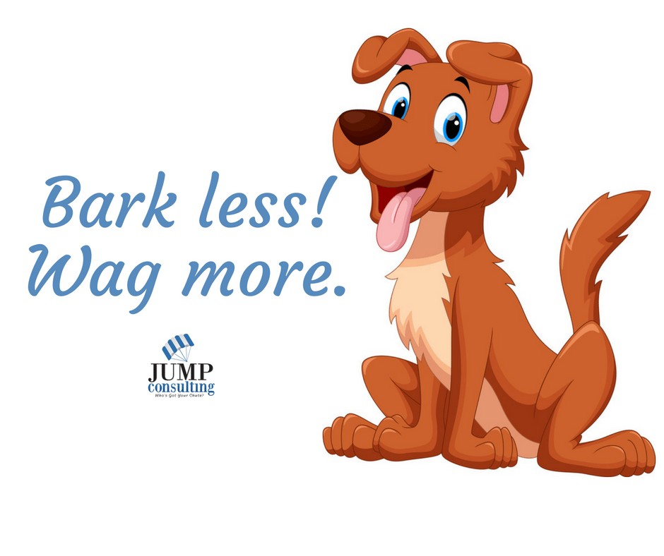 Do and Professional Pet Sitters Like Each Other?