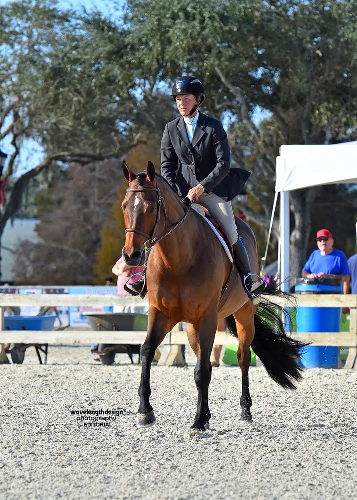 Snapshots from the Florida Gold Coast Quarter Horse Circuit Jumper Nation