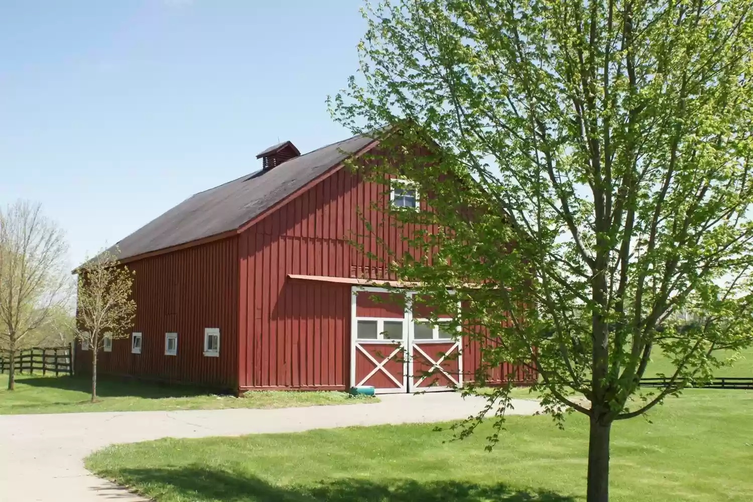 Lexington Dream Farm Presented by Stable View Jumper Nation