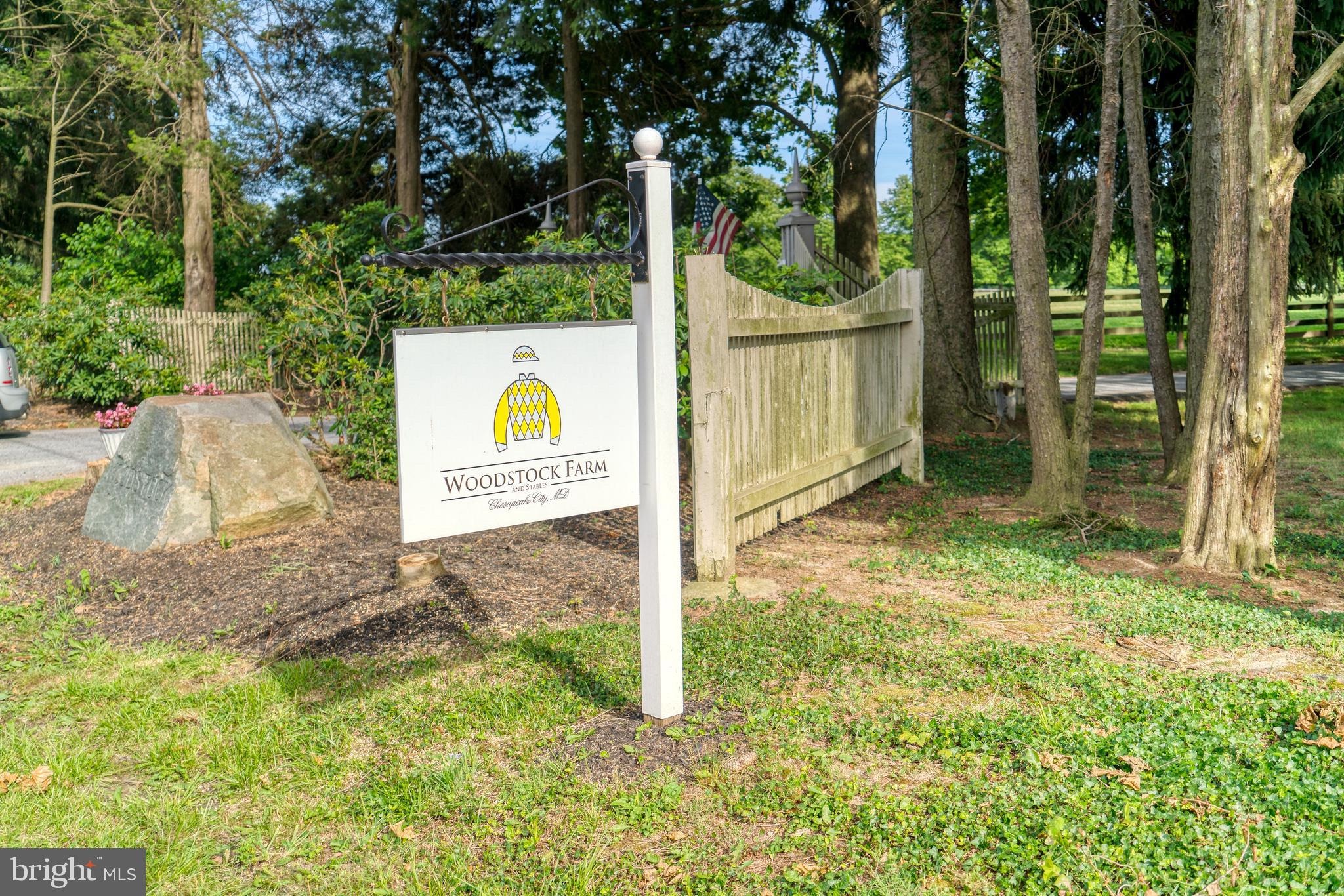 Historic Chesapeake City Dream Farm Presented by Stable View Jumper