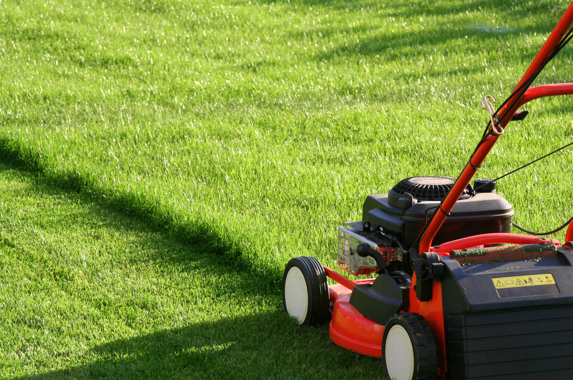 How Much Money Can You Make Mowing Lawns? Jump Man Jump!
