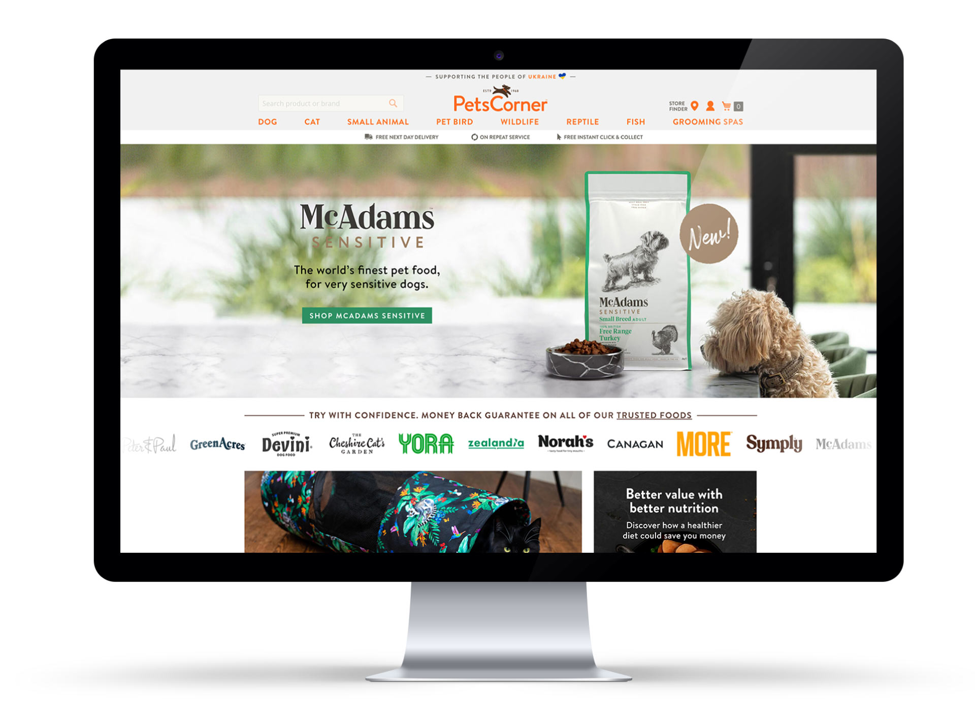 Pets Corner Junction Studio