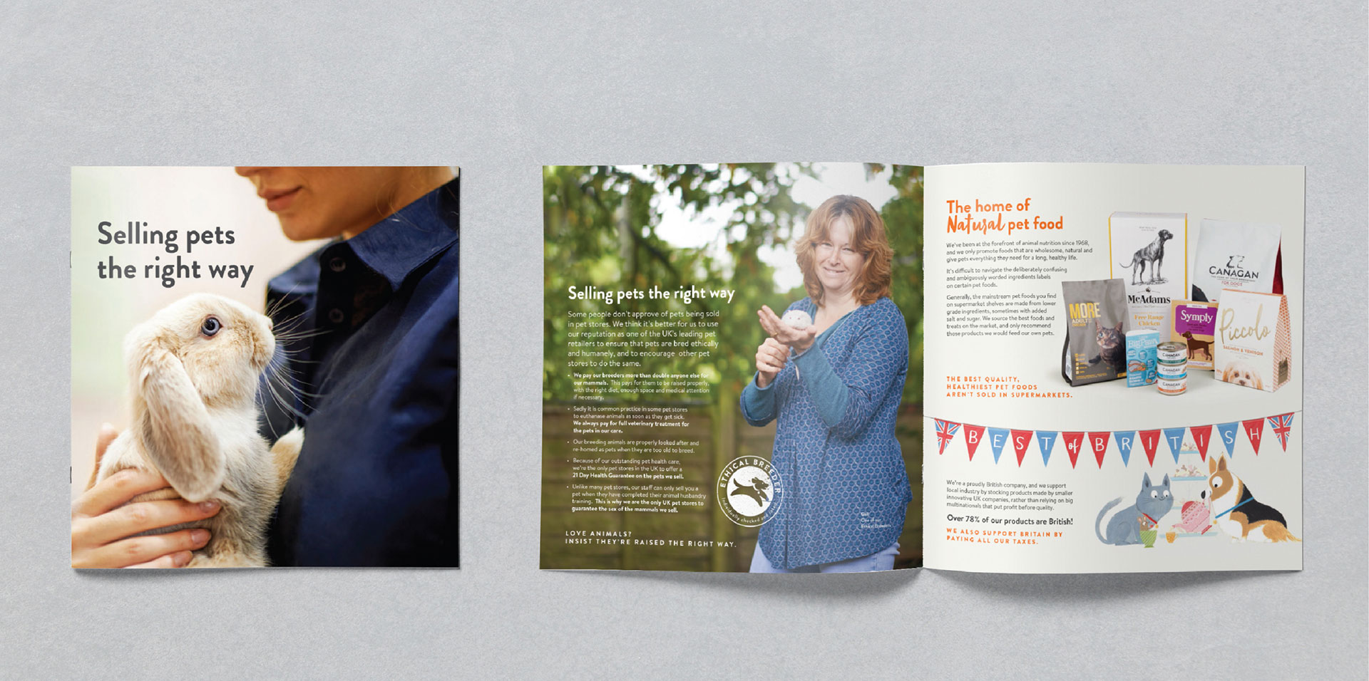 Pets Corner Junction Studio