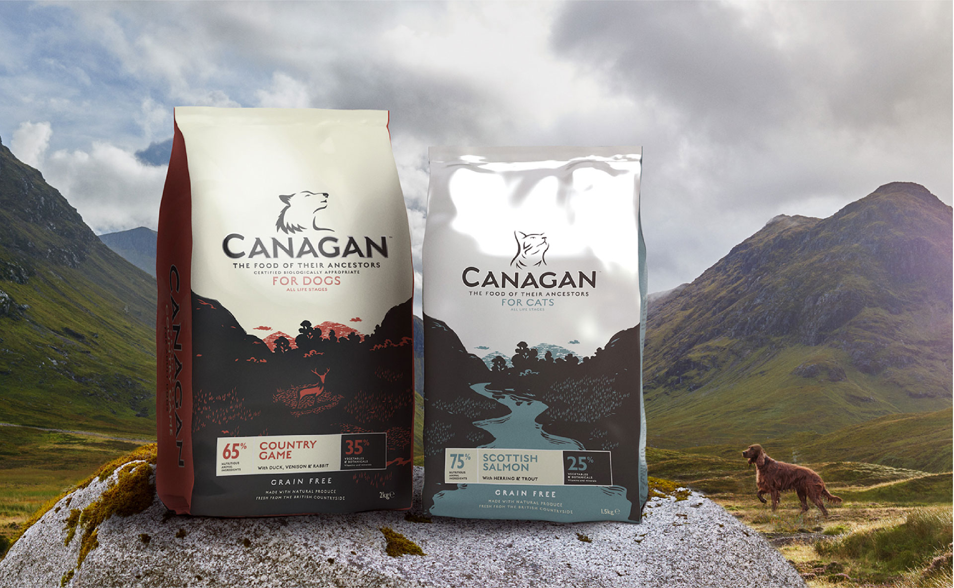 Canagan Junction Studio