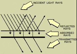 Transparent, Translucent and Opaque - Junction Hill Science