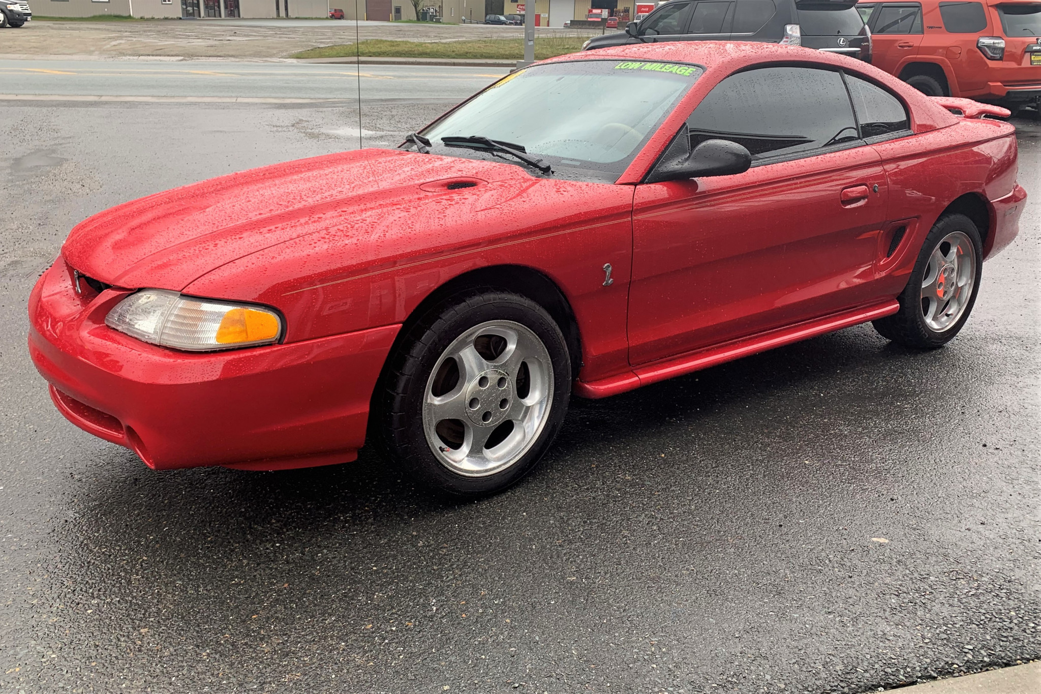 1994 Ford Mustang Cobra Affordable Auto Sales