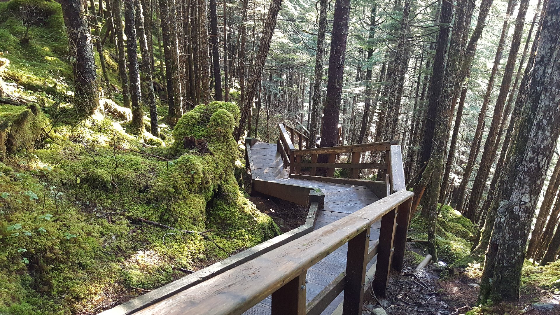 East Glacier Loop Trail
