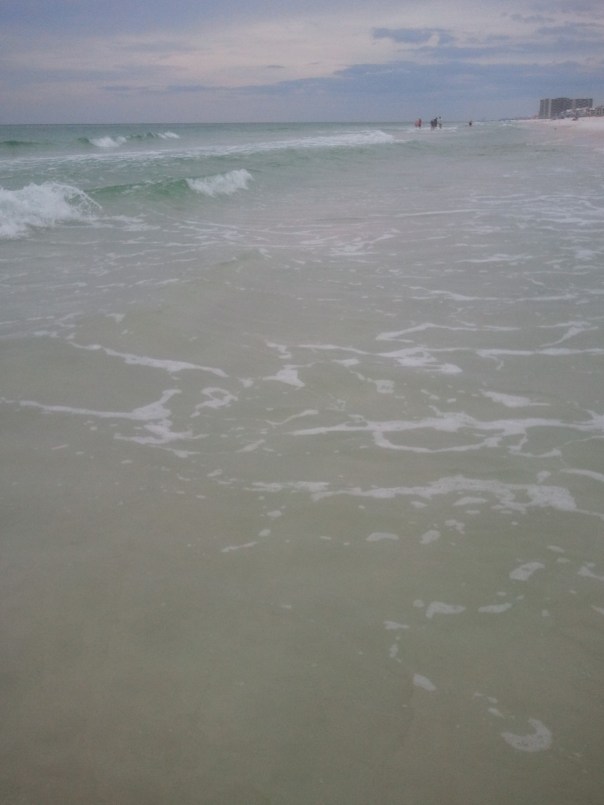 The June Grass Report Crowdsourced June Grass and Beach Updates from