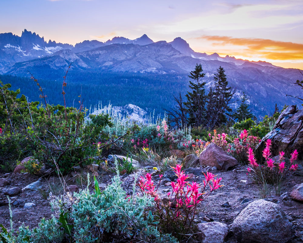 June Lake Motel June Lake Village California