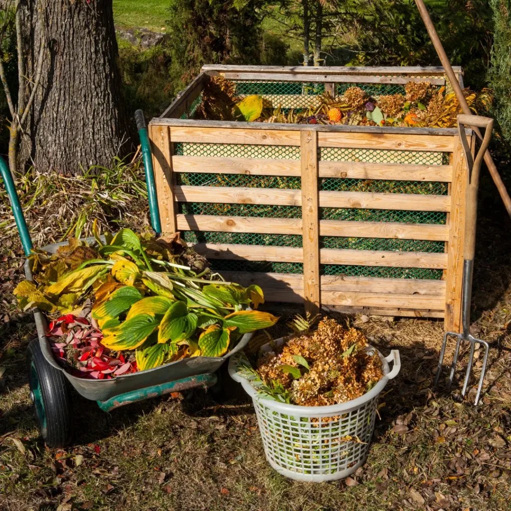 What is Composting and Getting Started - for Beginners 2025