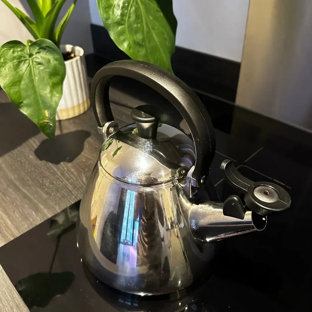 Brilliant Kone Induction Kettle Review Le Creuset 2024