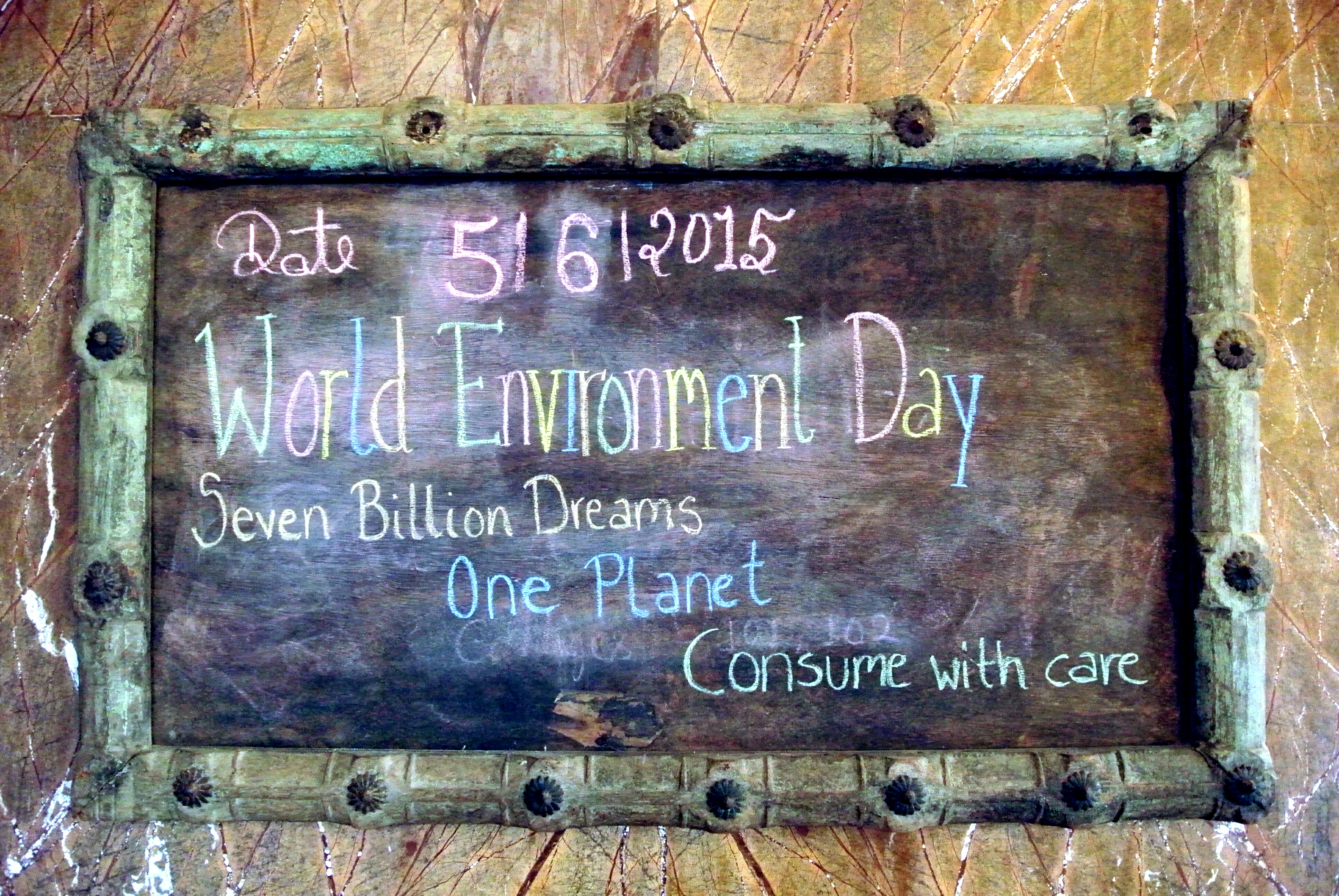 UN World Environment Day and Daily Choices How to make garbage bags