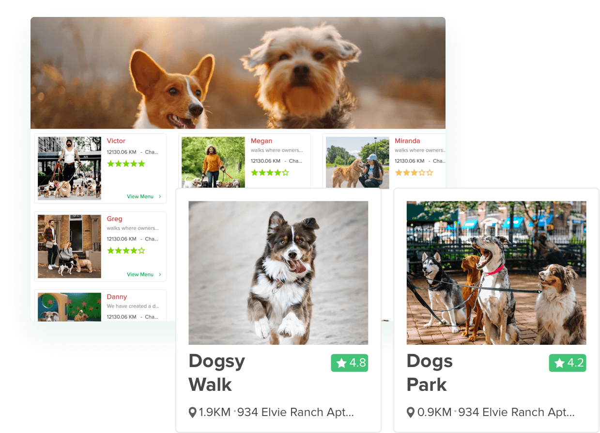 Create the Best Dog Walking App for your Business Yelo Jungleworks