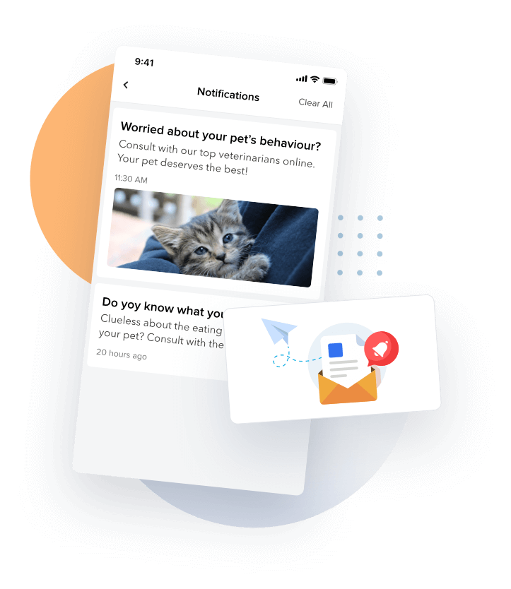 Online Veterinarian Consultation App Panther