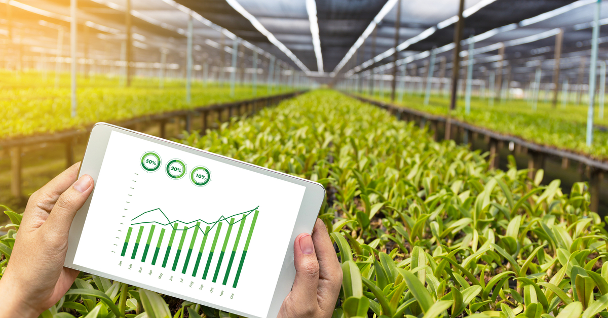 How to start an Online Agriculture Product selling business? JungleWorks