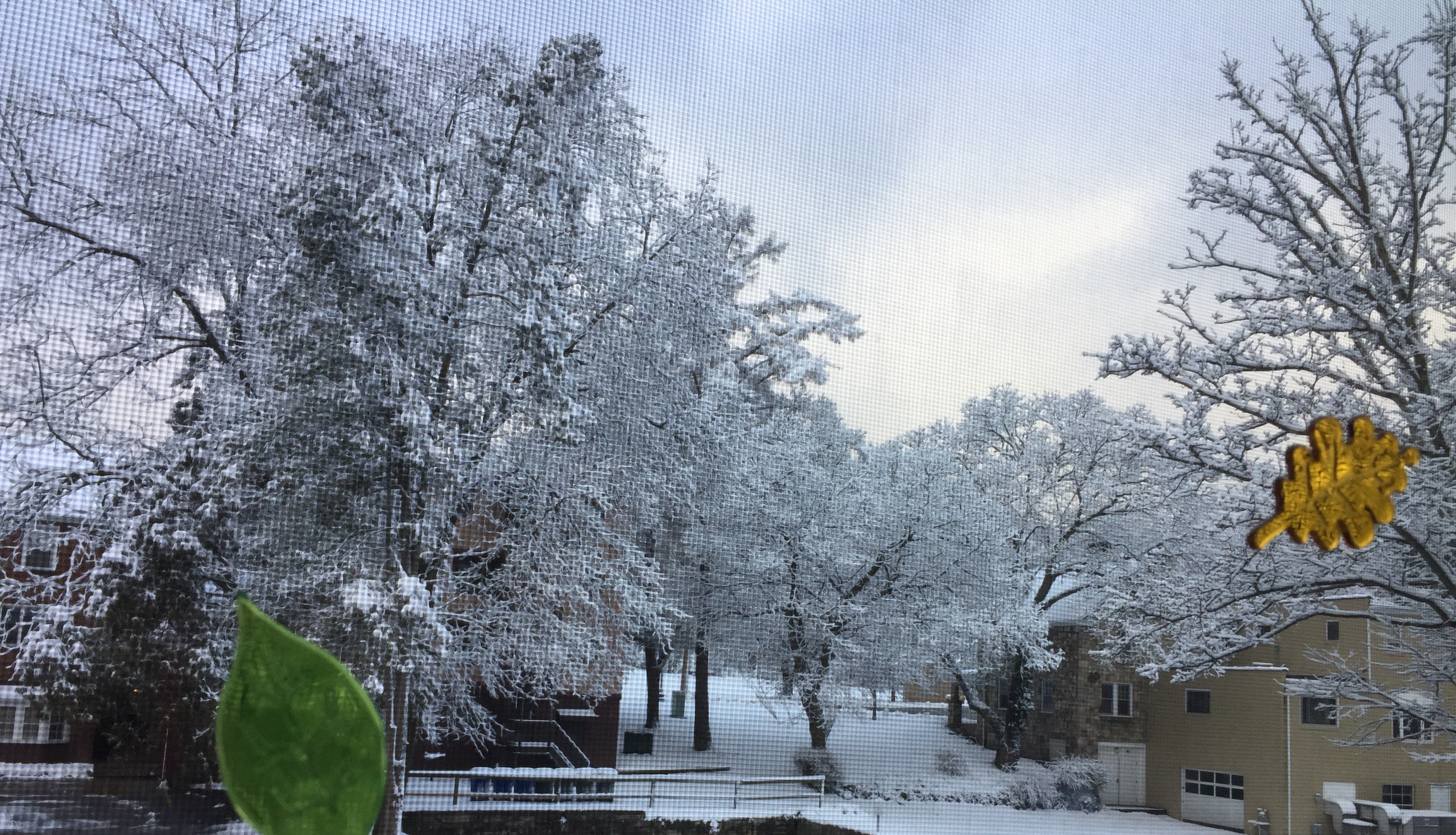 Juniata Snow Day Juniata College Admission Blog