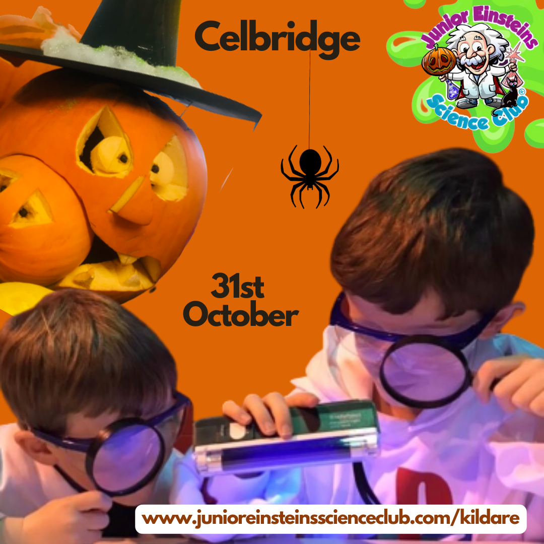 Celbridge, Halloween Science Camp, 31/10/23, 9am2pm Junior Einsteins