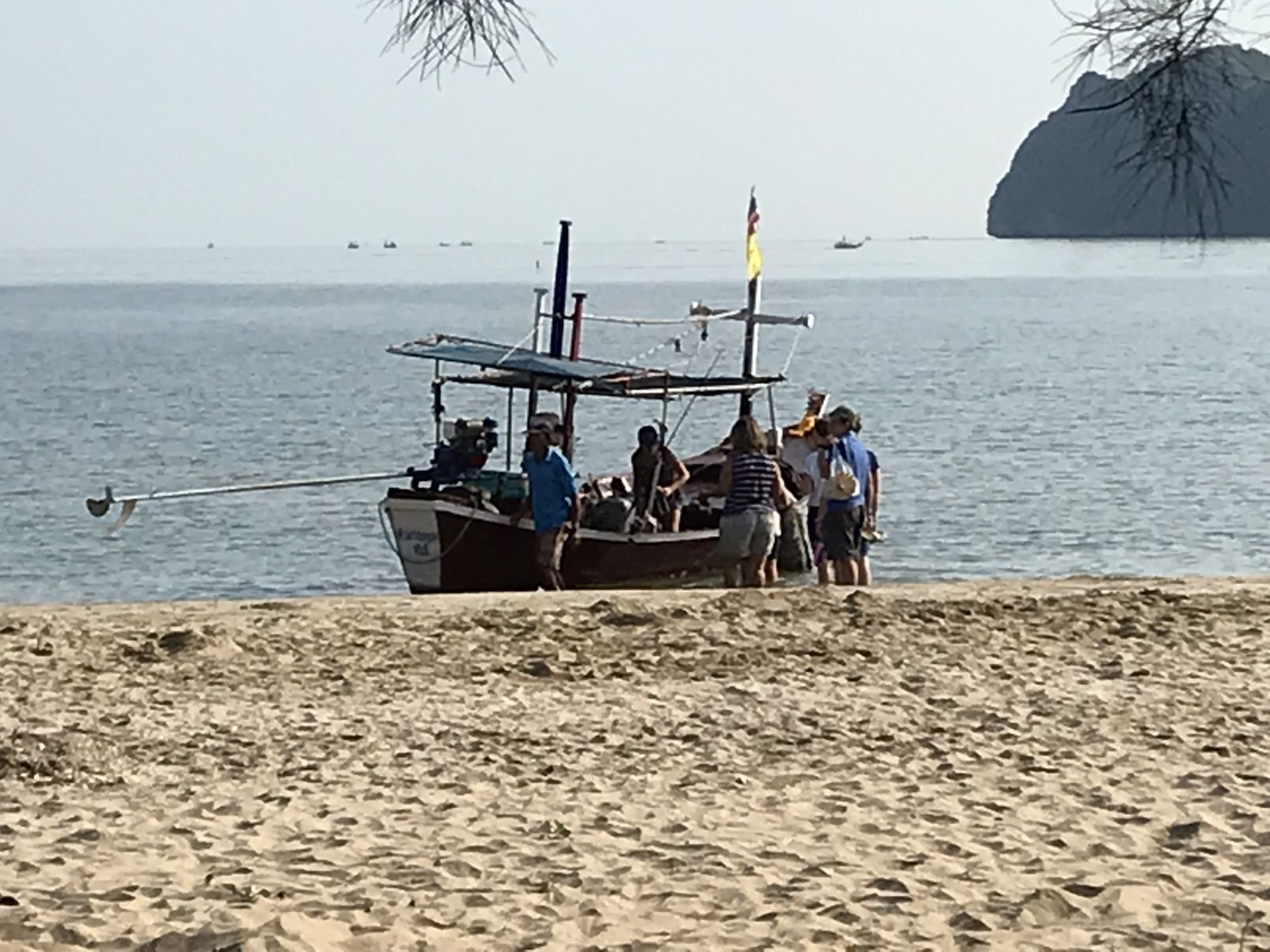 Dolphin Bay The Juniper Tree