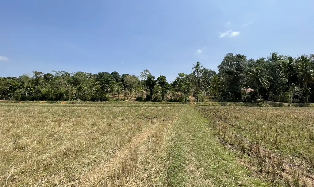 Real Estate Company in Kurunegala Juniper Group