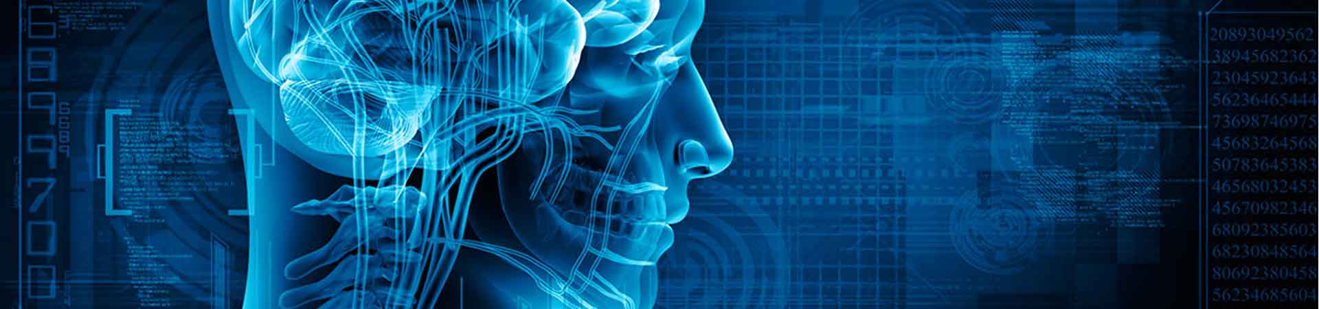 Open Access Journal of Neurology & Neurosurgery Neurology Journals