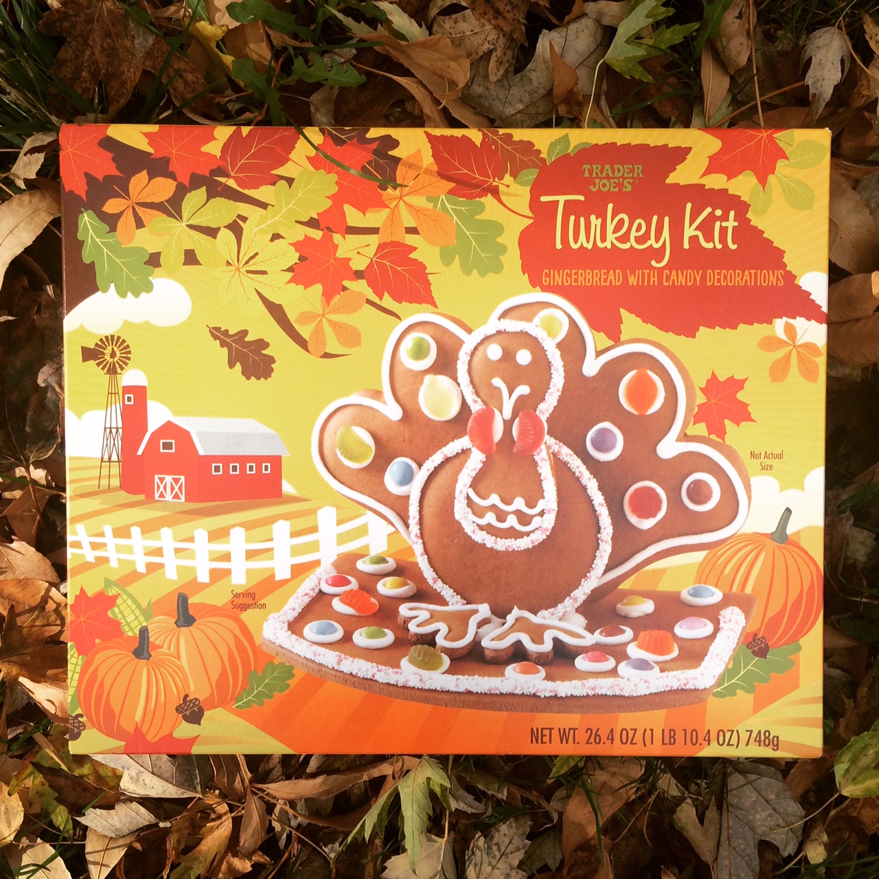 REVIEW Trader Joe's Gingerbread Turkey Kit Junk Banter