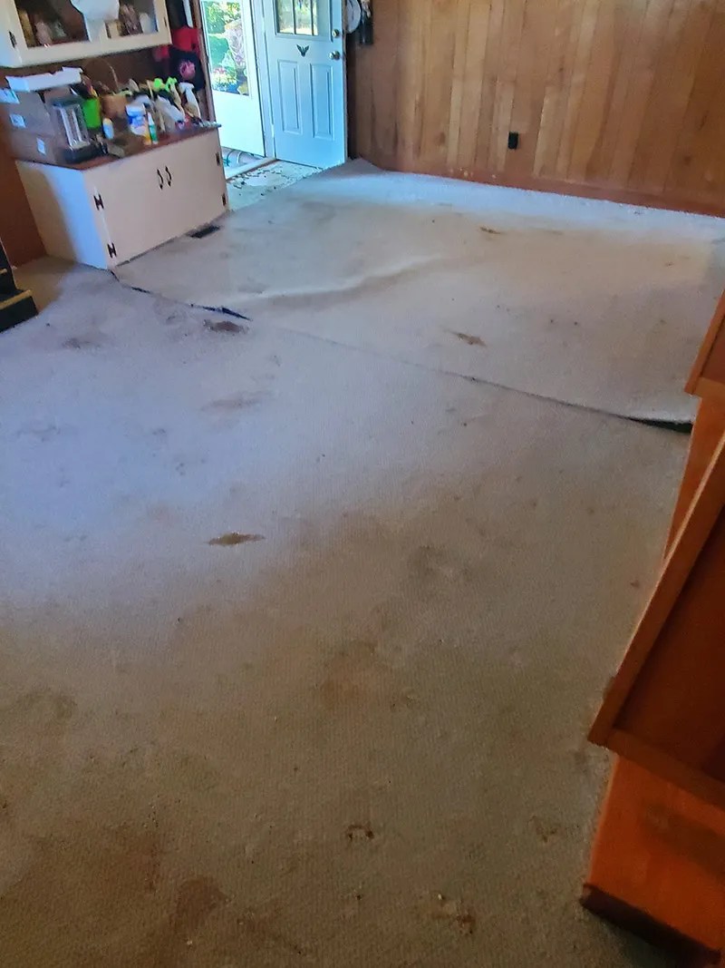 Carpet Removal Southeast, Va. Junk Removal Light Demolition