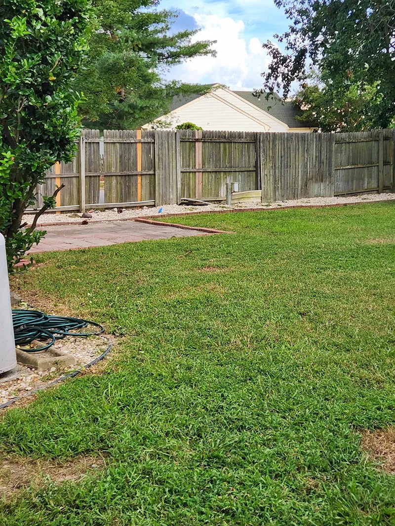 Carrollton Junk Removal Junk Herder Cleanouts