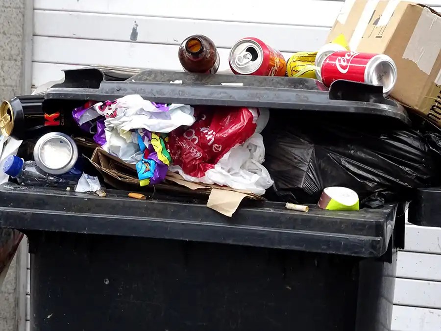 Dumpster Rental Houston Junk it Mobile Dumpsters