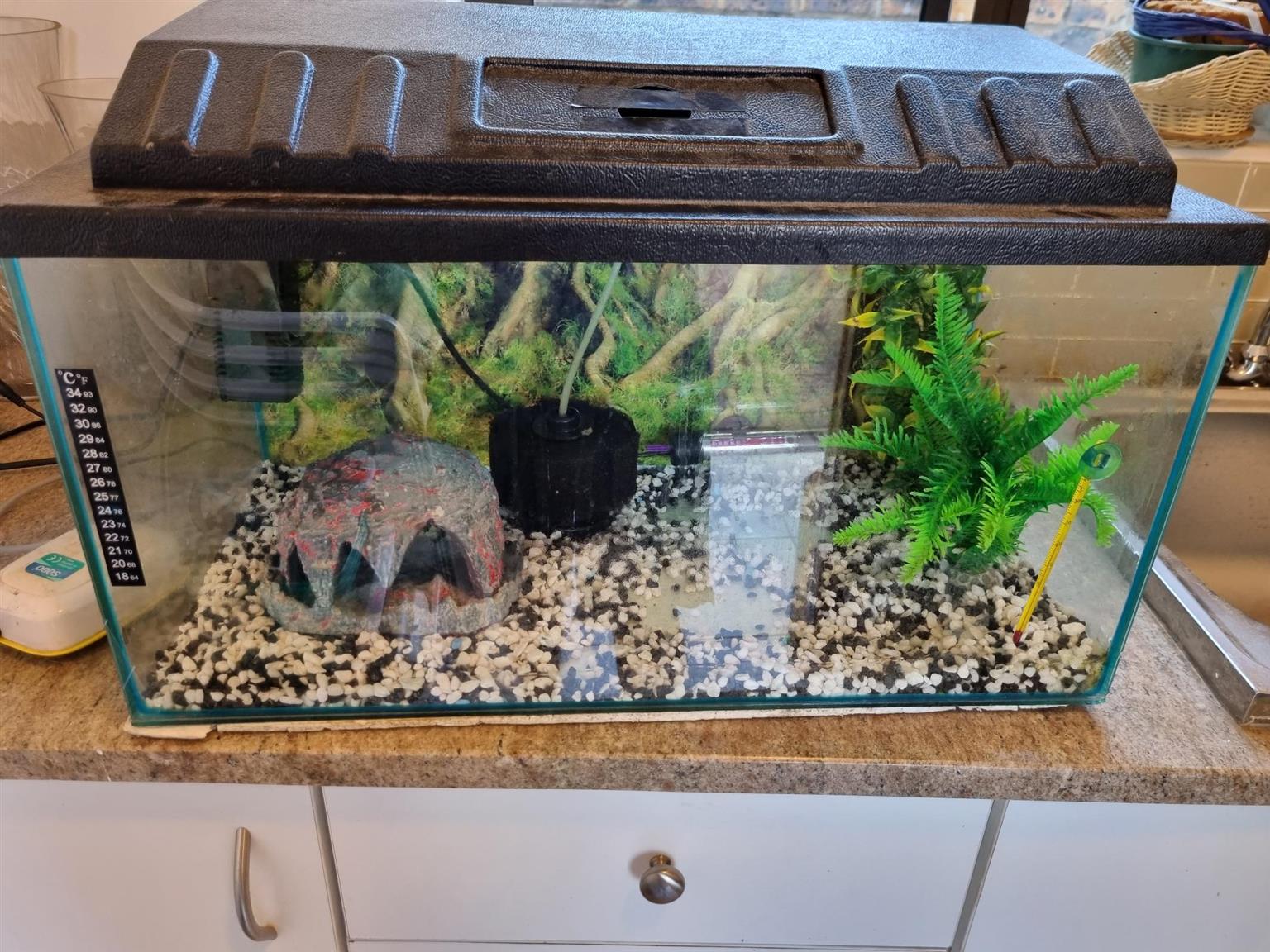 60 Litre Fish Tank