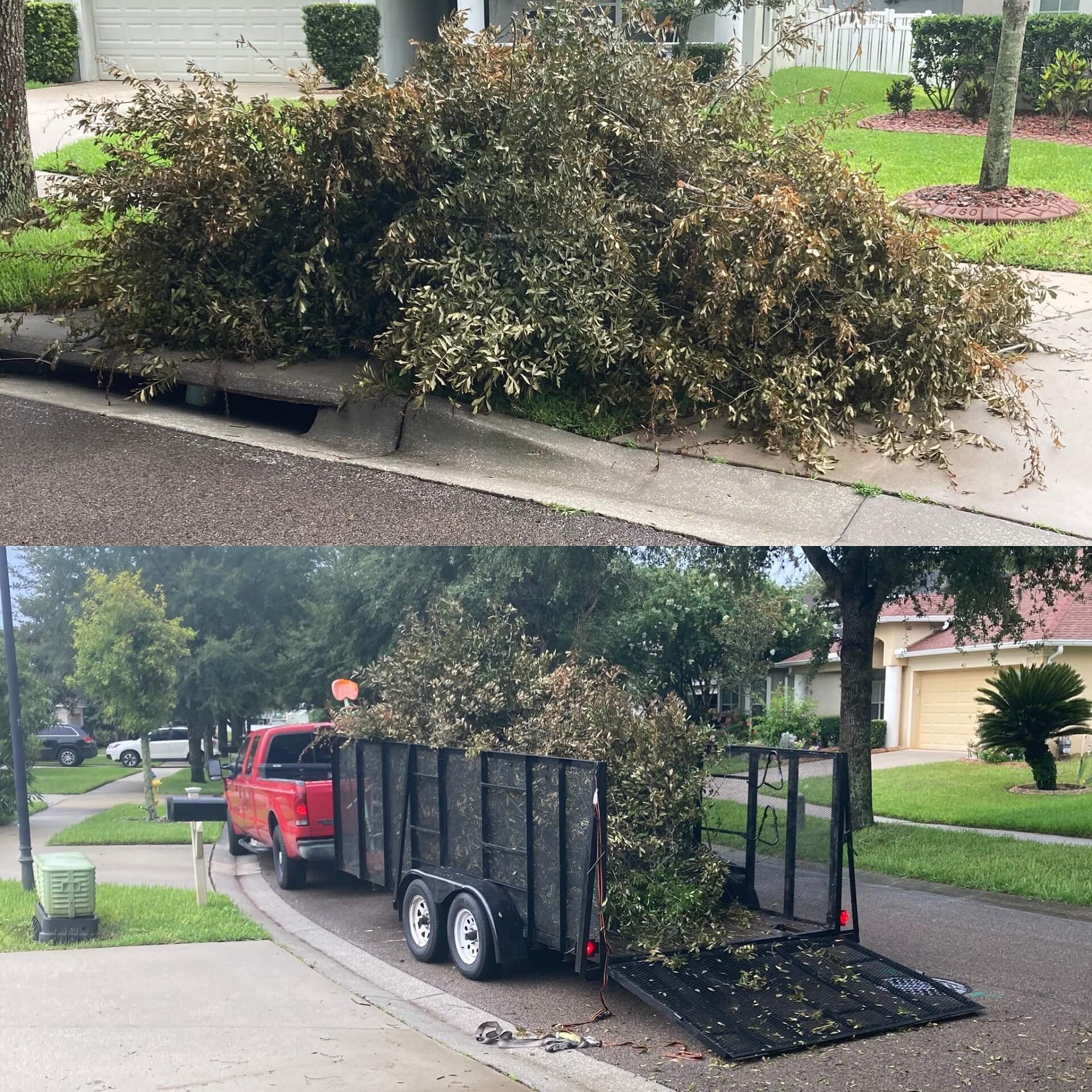 Junk Removal 813 Junk Removal Tampa Florida